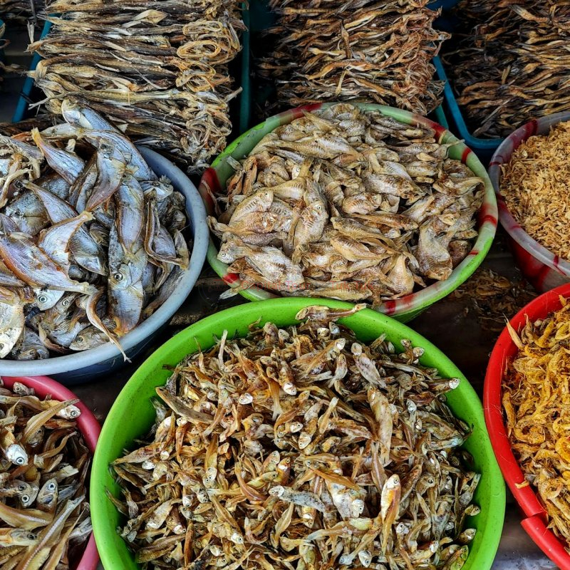 Dry Fish Market